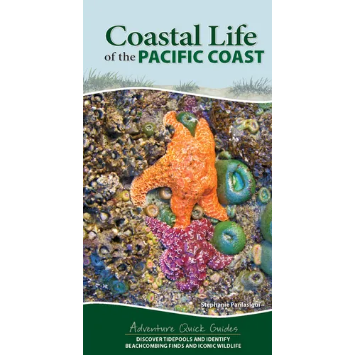 Coastal Life of the Pacific Coast: Discover Tidepools and Identify Beachcombing Finds and Iconic Wildlife