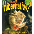 What is Hibernation?