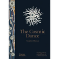 The Cosmic Dance: Finding Patterns and Pathways in a Chaotic Universe