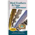 Bird Feathers & Eggs of the Northeast: Identify 40 Species of Common Backyard Birds