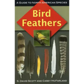 Bird Feathers: A Guide to North American Species
