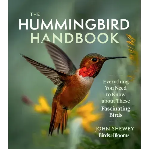 The Hummingbird Handbook: Everything You Need to Know about These Fascinating Birds