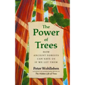 The Power of Trees: How Ancient Forests Can Save Us If We Let Them