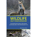 Wildlife Out Your Window: Fascinating Facts About 100 Animals Commonly Seen in the Northeastern U.S.