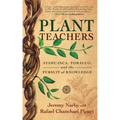 Plant Teachers: Ayahuasca, Tobacco, and the Pursuit of Knowledge