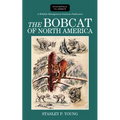 Bobcat of North America