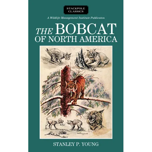 Bobcat of North America