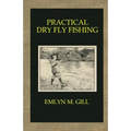 Practical Dry Fly Fishing