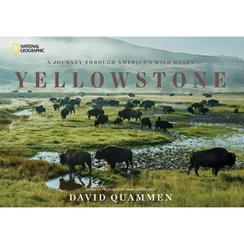Yellowstone: A Journey Through America's Wild Heart