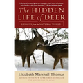 The Hidden Life of Deer: Lessons from the Natural World