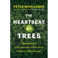 The Heartbeat of Trees: Embracing Our Ancient Bond with Forests and Nature
