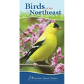 Birds of the Northeast: Your Way to Easily Identify Backyard Birds