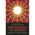 The Physics of Angels: Exploring the Realm Where Science and Spirit Meet