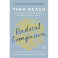 Radical Compassion: Learning to Love Yourself and Your World with the Practice of Rain