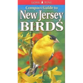 Compact Guide to New Jersey Birds