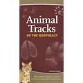 Animal Tracks of the Northeast: Your Way to Easily Identify Animal Tracks