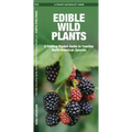 Edible Wild Plants: A Folding Pocket Guide to Familiar North American Species