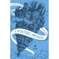 A Winter's Promise: Book One of the Mirror Visitor Quartet