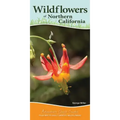 Wildflowers of Northern California: Your Way to Easily Identify Wildflowers