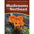 Mushrooms of the Northeast: A Simple Guide to Common Mushrooms