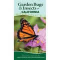 Garden Bugs & Insects of California: Identify Pollinators, Pests, and Other Garden Visitors