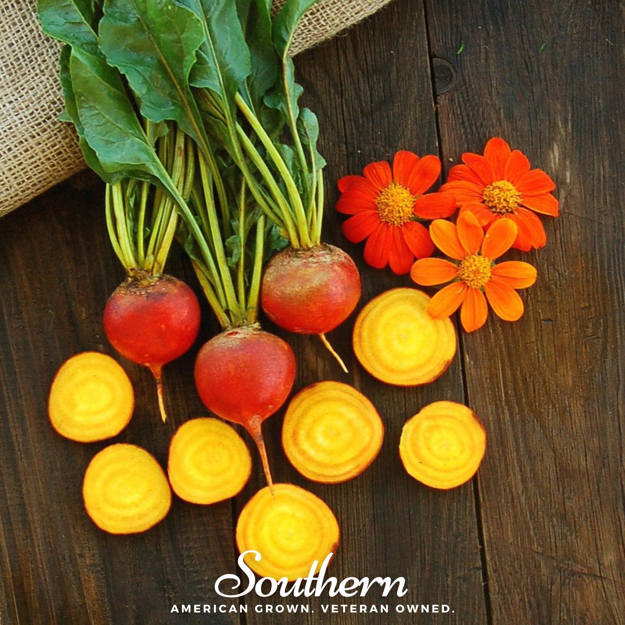 Touchstone Beet – 50 Seeds
