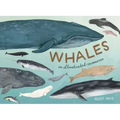 Whales: An Illustrated Celebration