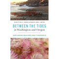 Between the Tides in Washington and Oregon: Exploring Beaches and Tidepools