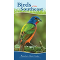 Birds of the Southeast: Your Way to Easily Identify Backyard Birds