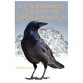A Californian's Guide to the Birds Among Us