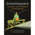 Grasshoppers, Locusts, and Crickets of the World