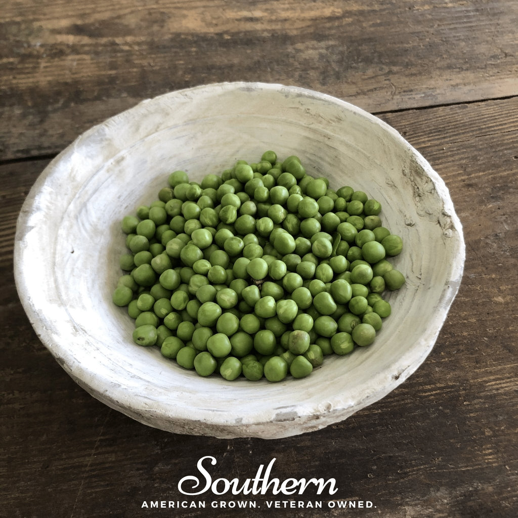 Royal Snap II Peas – 20 Seeds