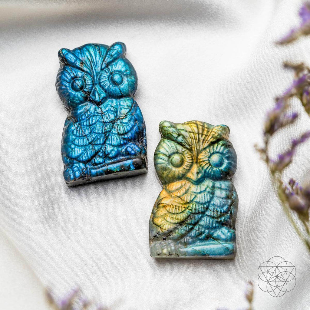Labradorite Owl Talisman - Token of Wisdom