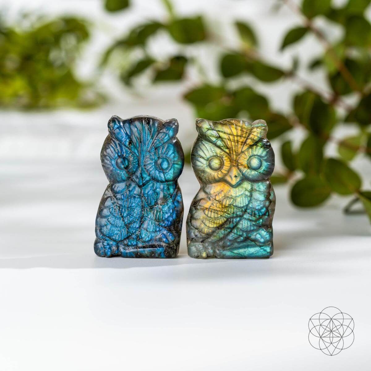 Labradorite Owl Talisman - Token of Wisdom