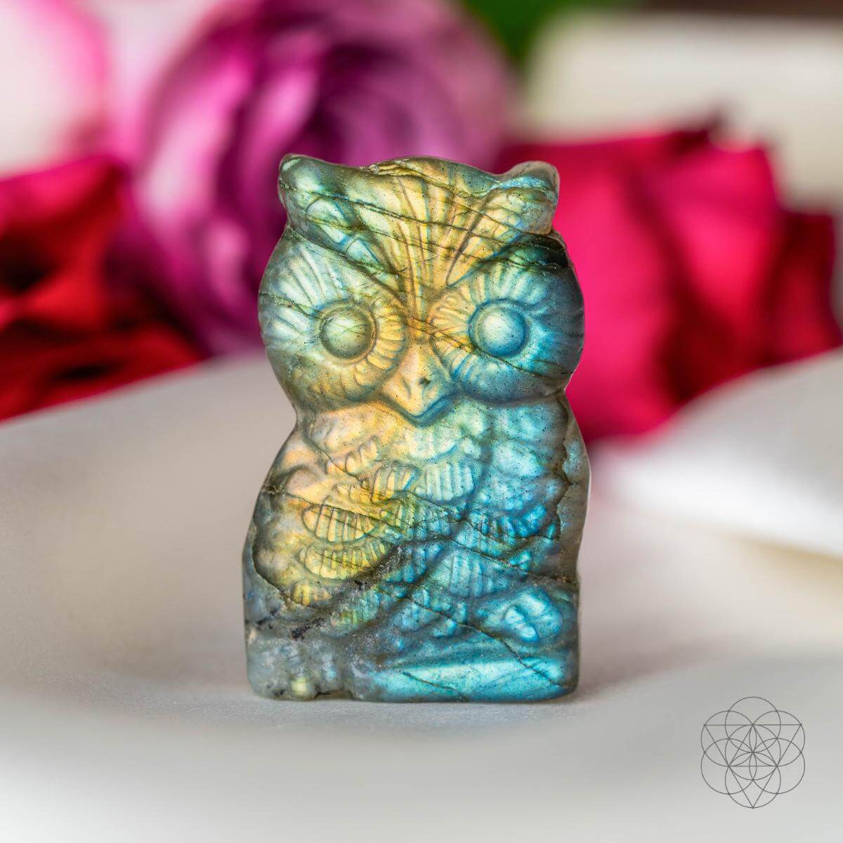 Labradorite Owl Talisman - Token of Wisdom