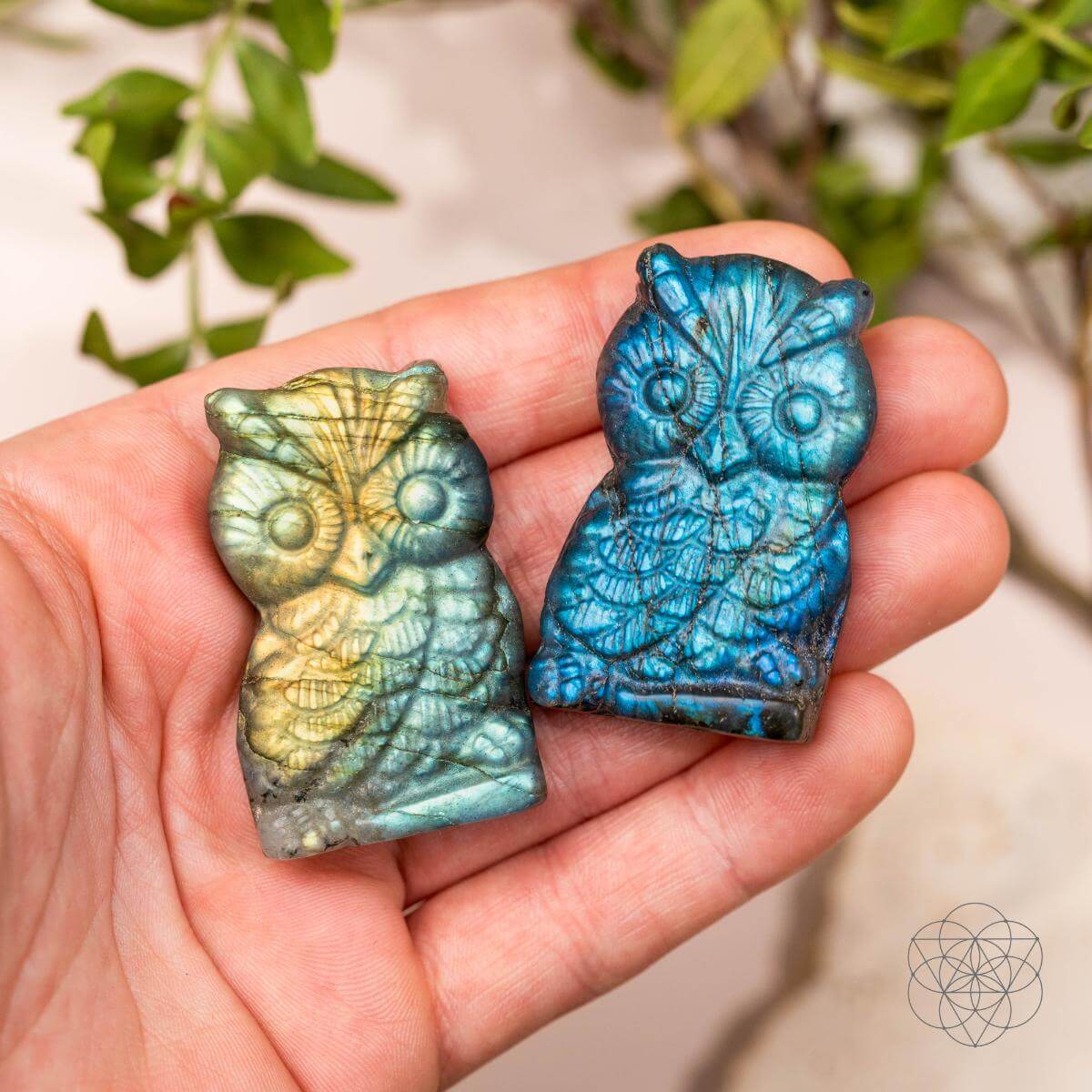 Labradorite Owl Talisman - Token of Wisdom