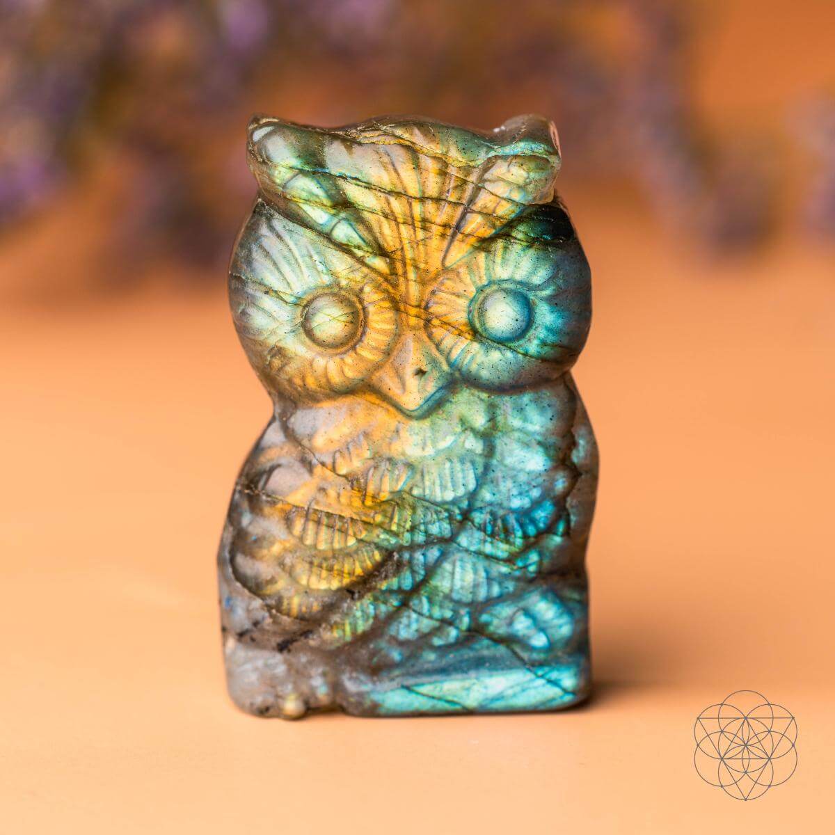 Labradorite Owl Talisman - Token of Wisdom