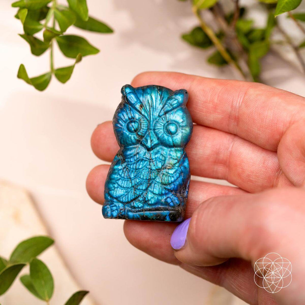 Labradorite Owl Talisman - Token of Wisdom